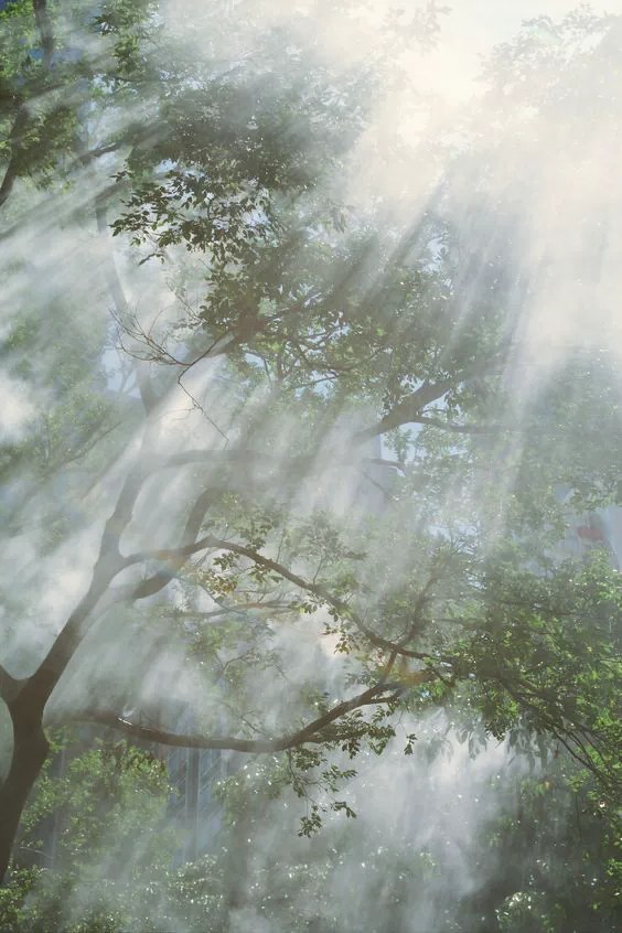 Nature, light and air